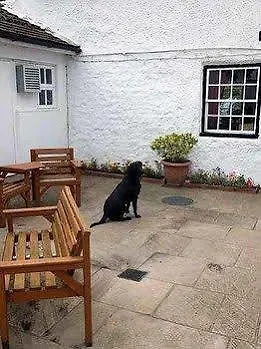 The Greyhound, Hackforth Near Bedale Hotel 3*